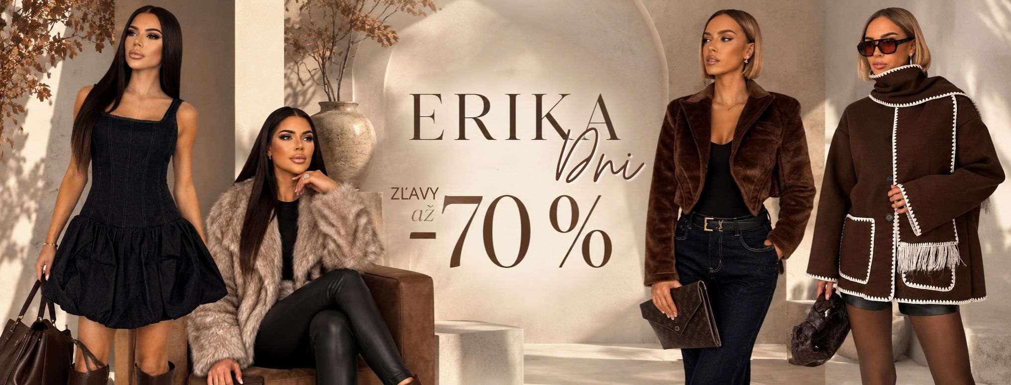 erika dny deskop